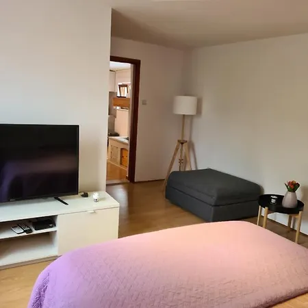 Apartment Volmefamily Pula